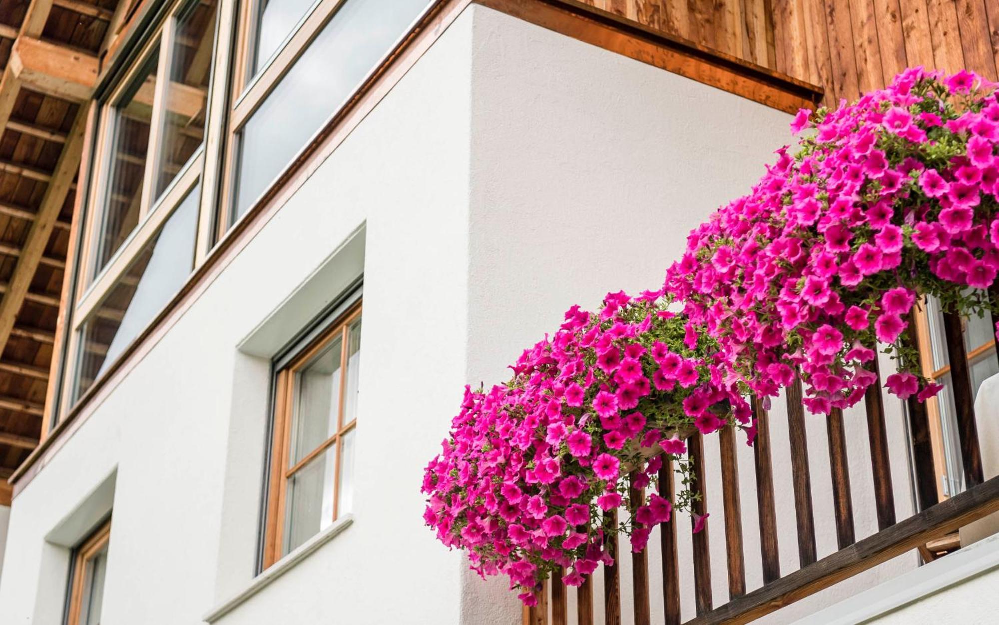 Alloggio per agriturismo Maso Runch *
