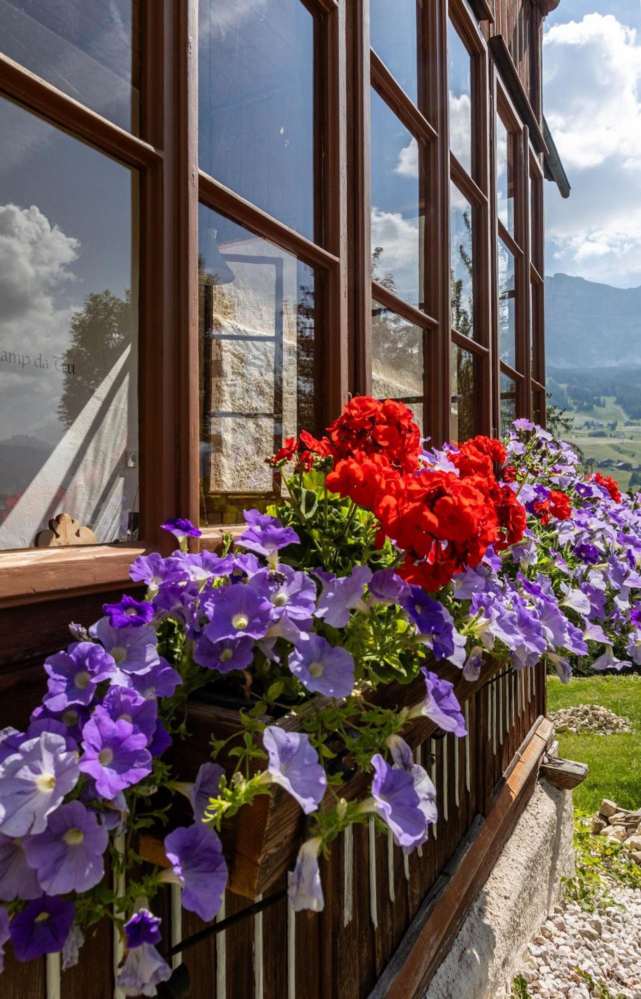 Maso Runch Badia (South Tyrol)